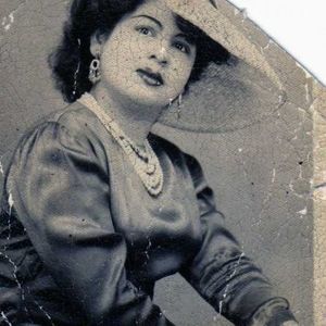 Meet your Posher, Bee